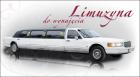 auto do �lubu - Lincoln lincoln town-car  