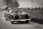 auto do �lubu - Mercedes W110  