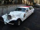 auto do �lubu - Lincoln Excalibur, Concorde i Town Car  Excalibur CABRIO