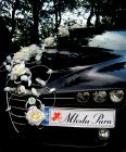auto do �lubu - Alfa Romeo 159  