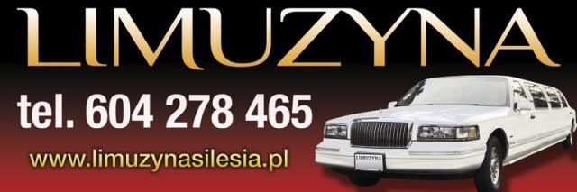 Logo: Limyzyna Silesia