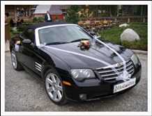 Logo: Auto do ślubu