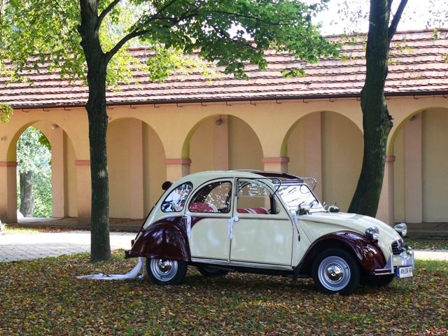 Logo: citroen2cv-slub