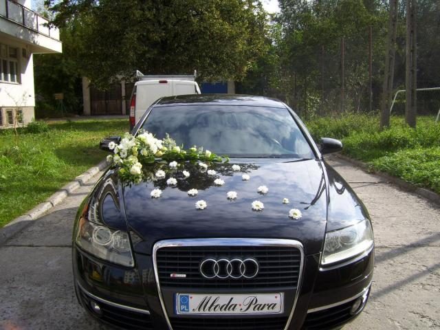 Audi – zdjęcie 8