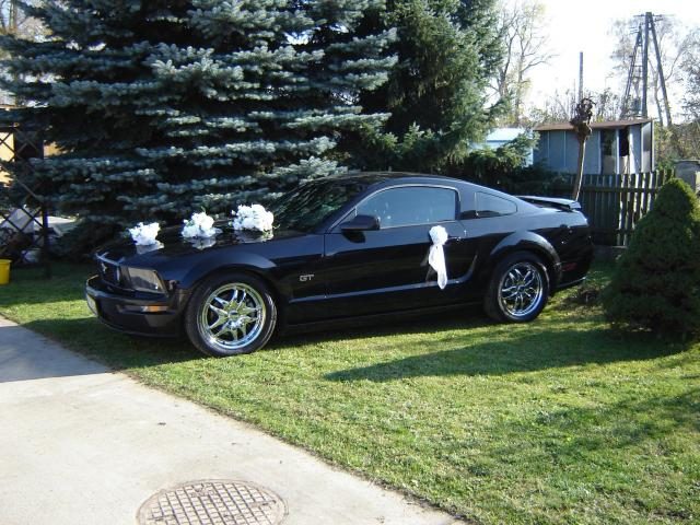 Ford Mustang GT – zdjęcie 3