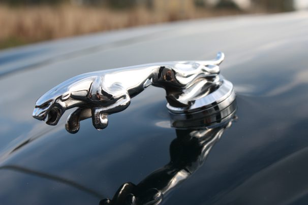 Jaguar XJ8 LONG – zdjęcie 6