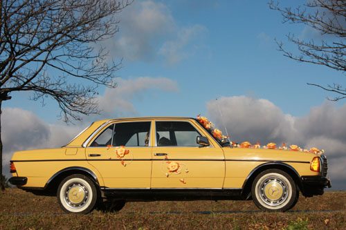 Mercedes 123 rocznik 1975 Rzeszów, całe Podkarpacie – zdjęcie 2
