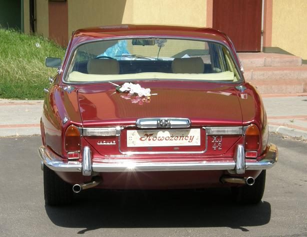 Jaguar – zdjęcie 2