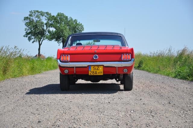 Ford Mustang – zdjęcie 3