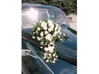 Inna Standard Vanguard – zdjęcie 3