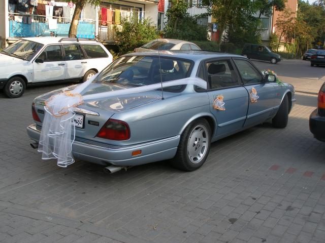 Jaguar – zdjęcie 2