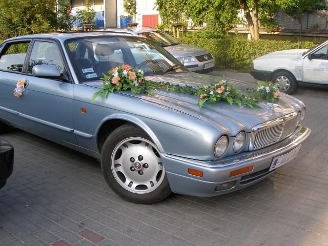 Jaguar – zdjęcie 3