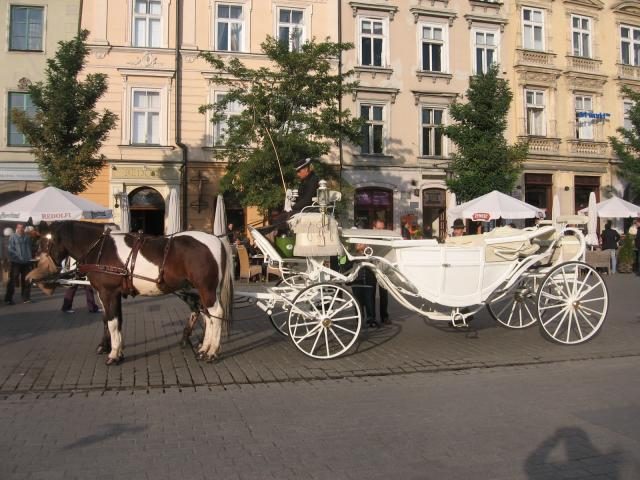 Dorożka – zdjęcie 2