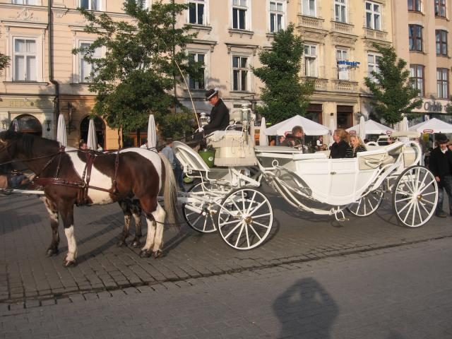 Dorożka – zdjęcie 3