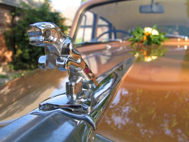 Jaguar Daimler – zdjęcie 2