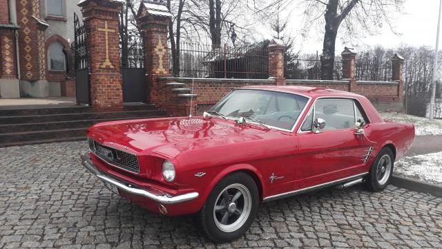 Ford Mustang 66r do ślubu