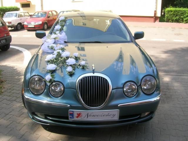 Jaguar – zdjęcie 2