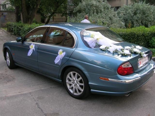 Jaguar – zdjęcie 3