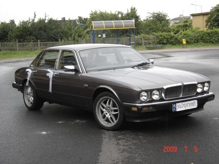 Jaguar – zdjęcie 2