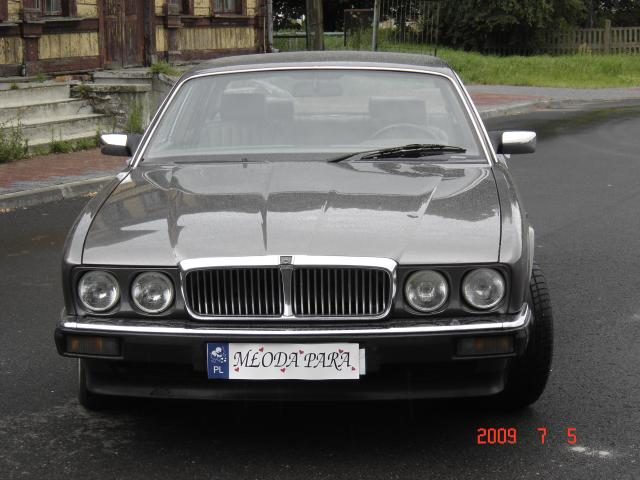 Jaguar – zdjęcie 3