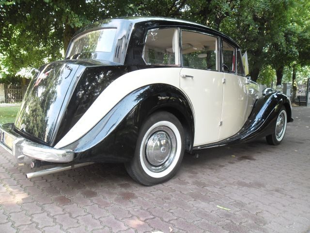 Triumph Renown 1949 z tyłu