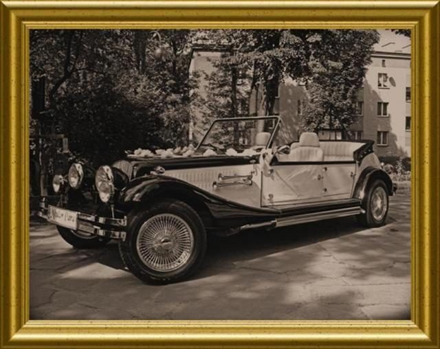 Alfa Romeo Nestor Majestic – zdjęcie 2