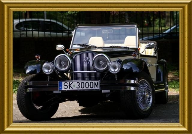 Alfa Romeo Nestor Majestic – zdjęcie 3